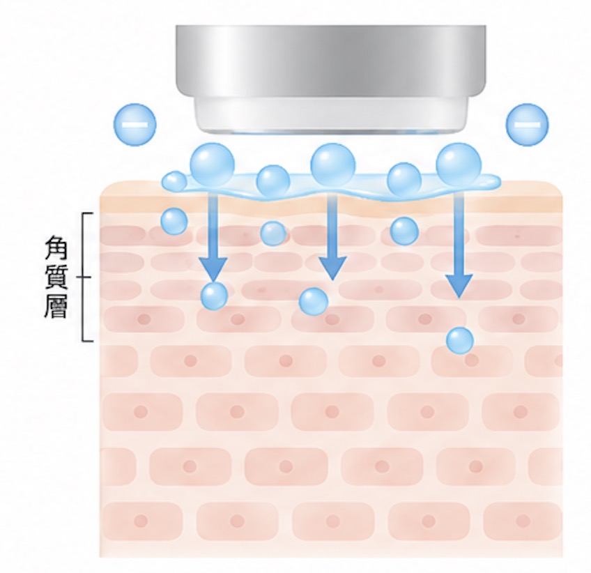 角質層への美容成分の浸透を示す図